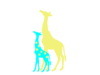 Baby Giraffe Image